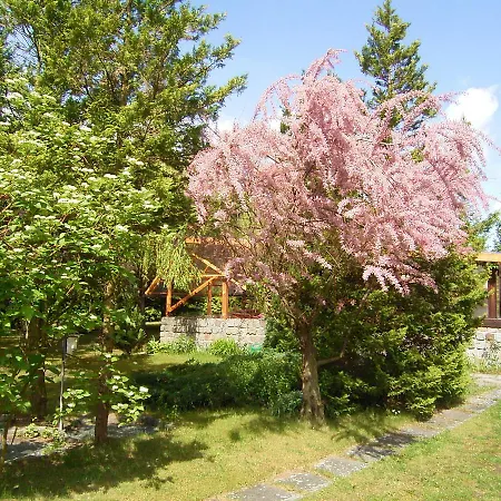 Apartmán Ferienbungalow Daniela Hoppenwalde